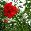 Natural Beauty of Nature